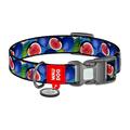 Waudog Nylon Dog Collar cu cod QR - Dimensiune M - Fig