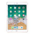 Reparație Geam Cu Touchscreen iPad 9.7 (2018)